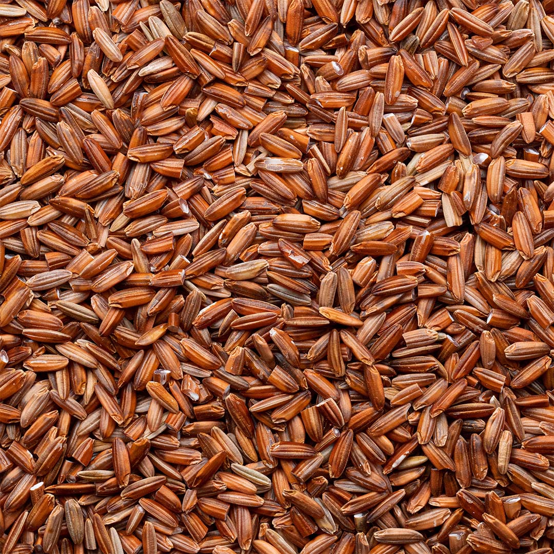 Organic Red Jasmine Rice