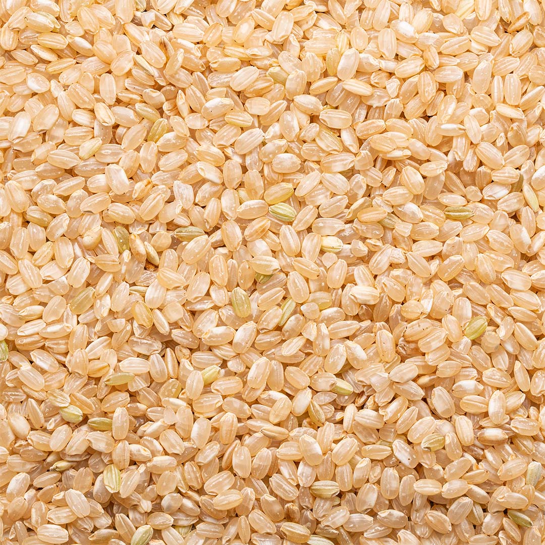 Organic Sprouted Short Grain Brown Rice