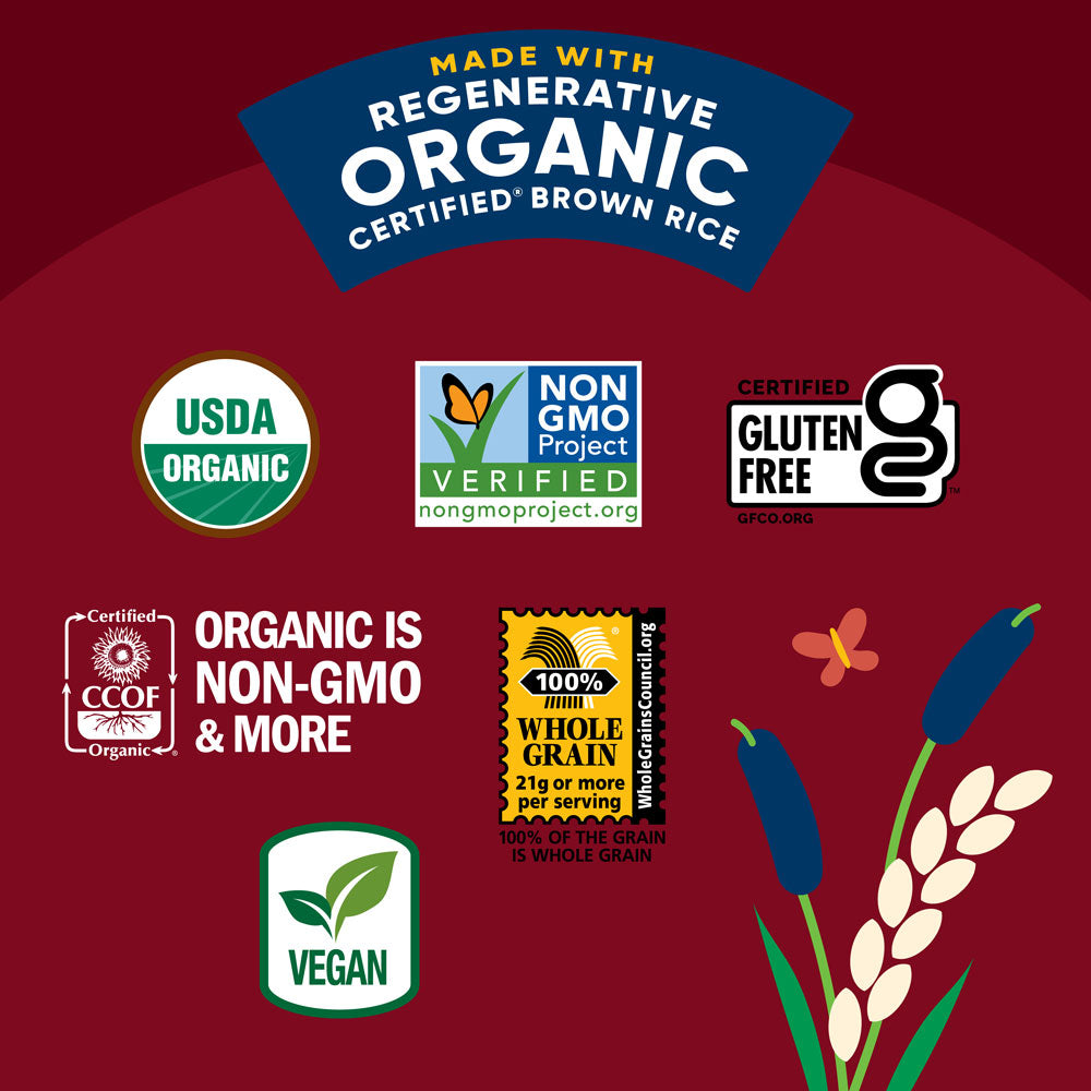 Organic Apple Pie Rice Cake Minis