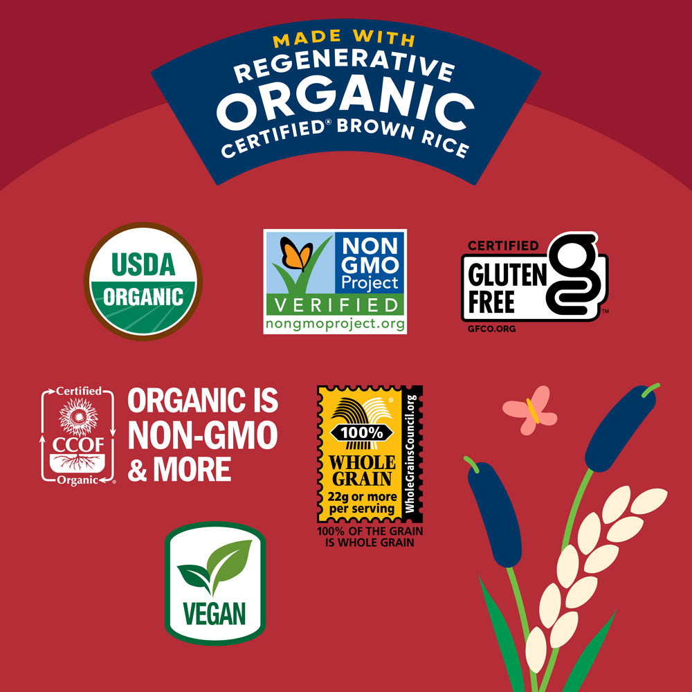 Organic Fiery Hot Rice Cake Minis, Single-Serve