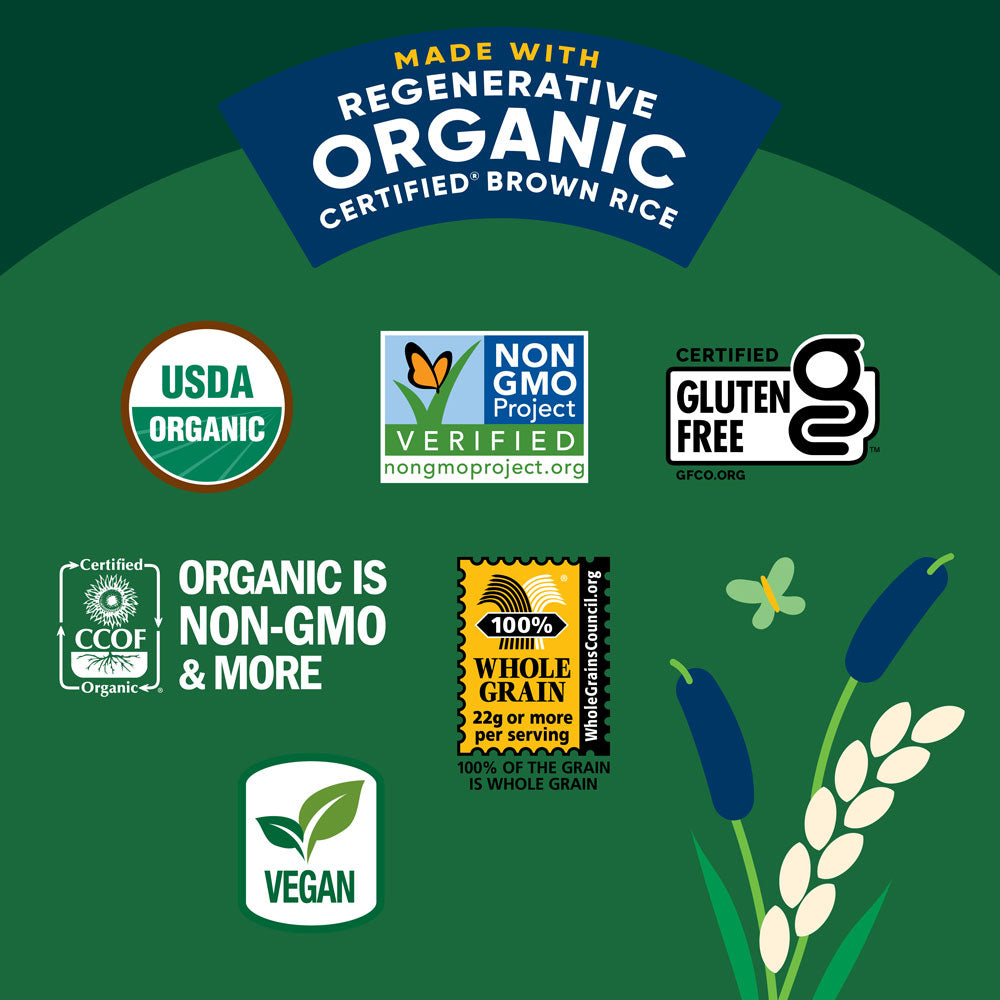 Organic Ginger Seaweed Rice Cake Minis