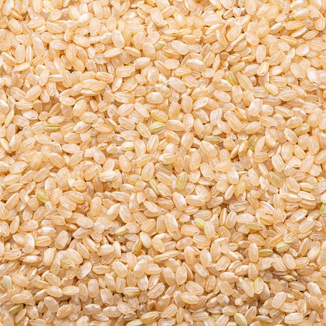 Organic Short Grain Brown Rice