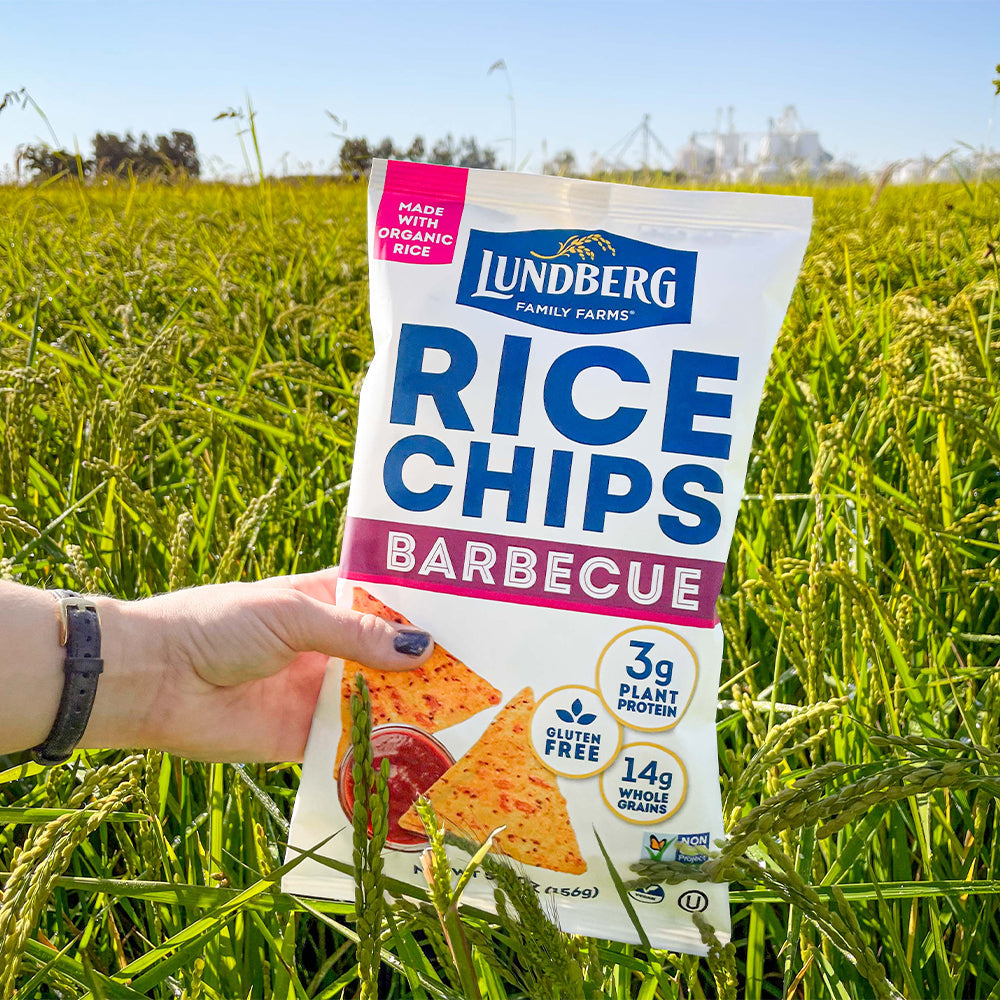 Barbecue Rice Chips