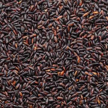 Rice & Quinoa – Lundberg Family Farms