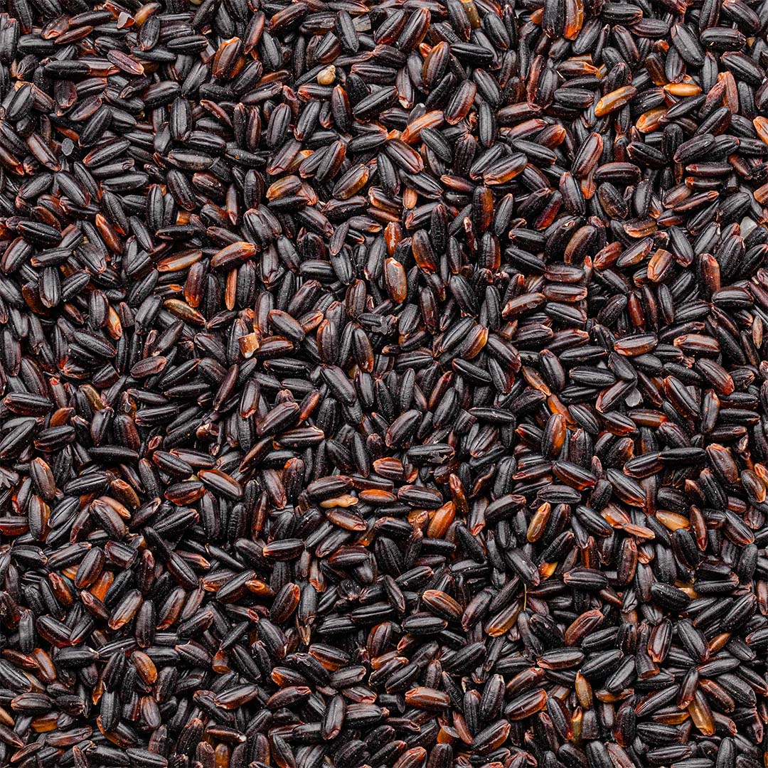 Organic Black Pearl Rice