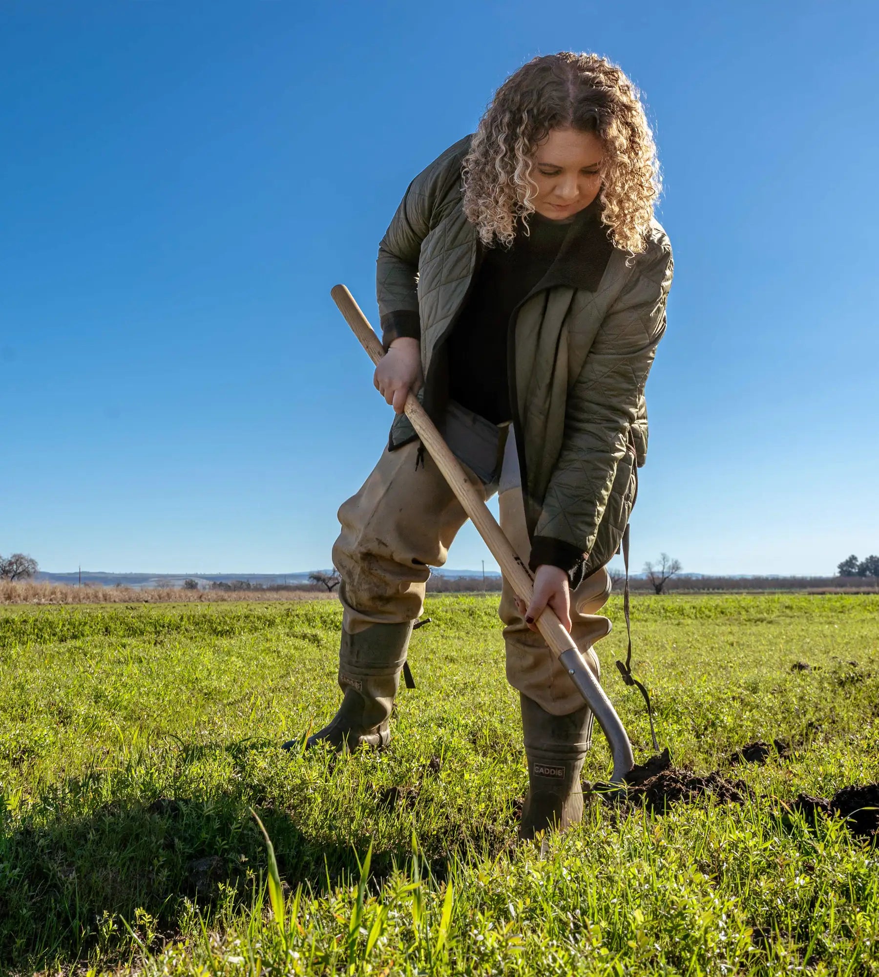 hand picking green weed from healthy grass