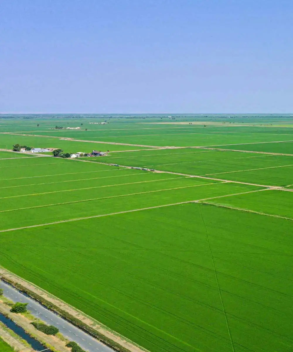 Well-groomed fields shot from above