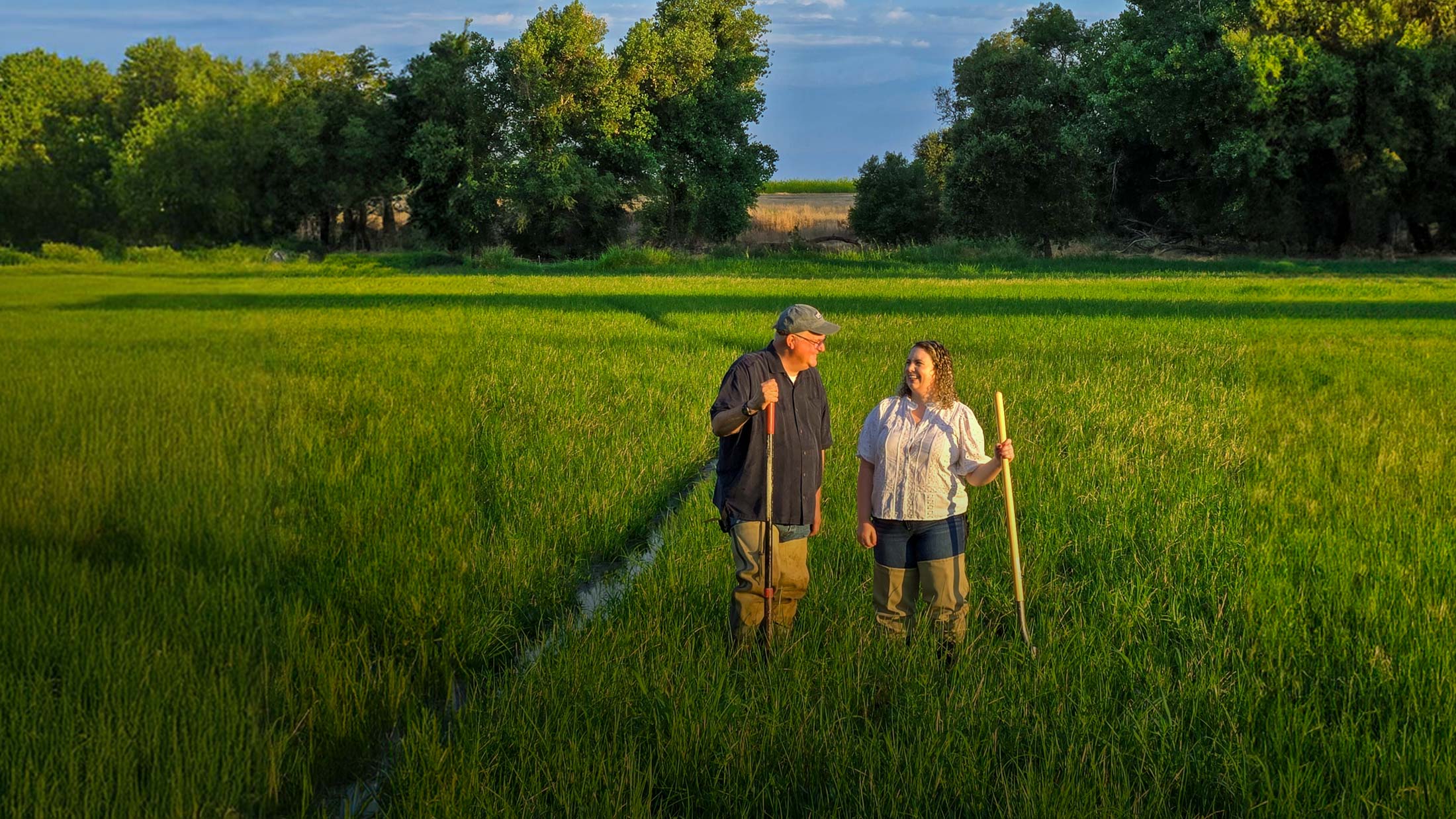 Bryce and Brita Lundberg standing in a green rice field